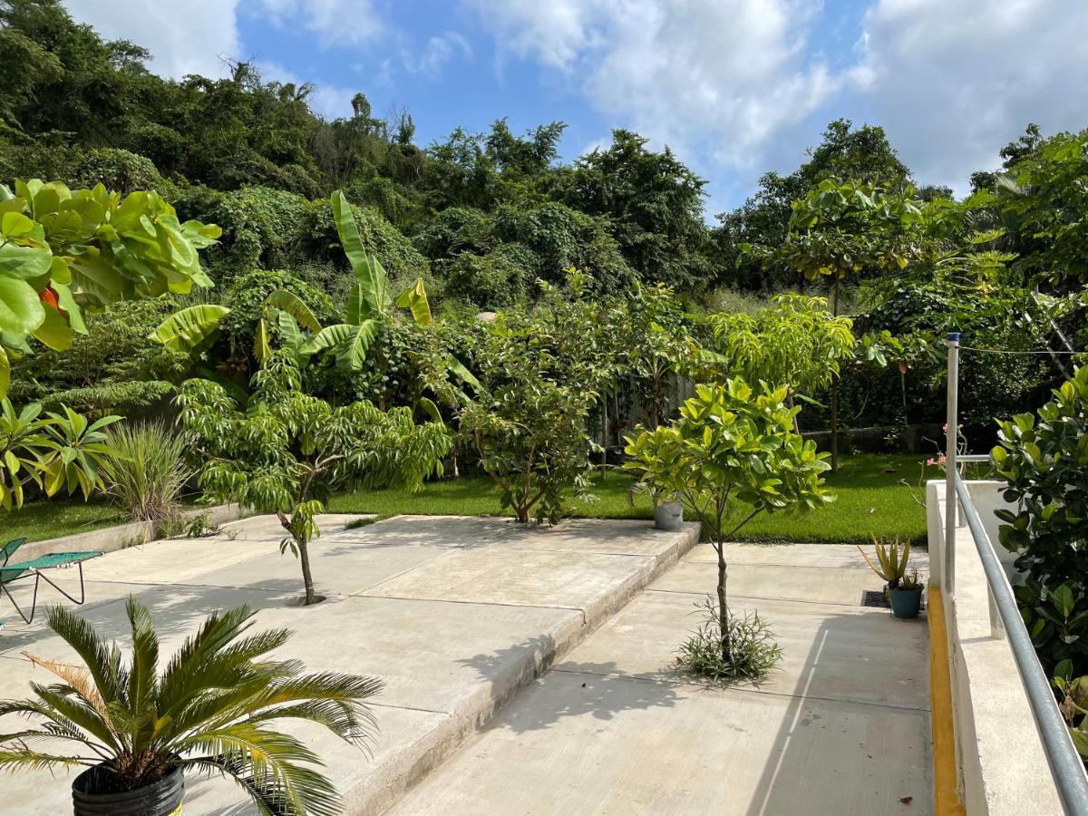 Villa Amanecer Sayulita Esterno foto